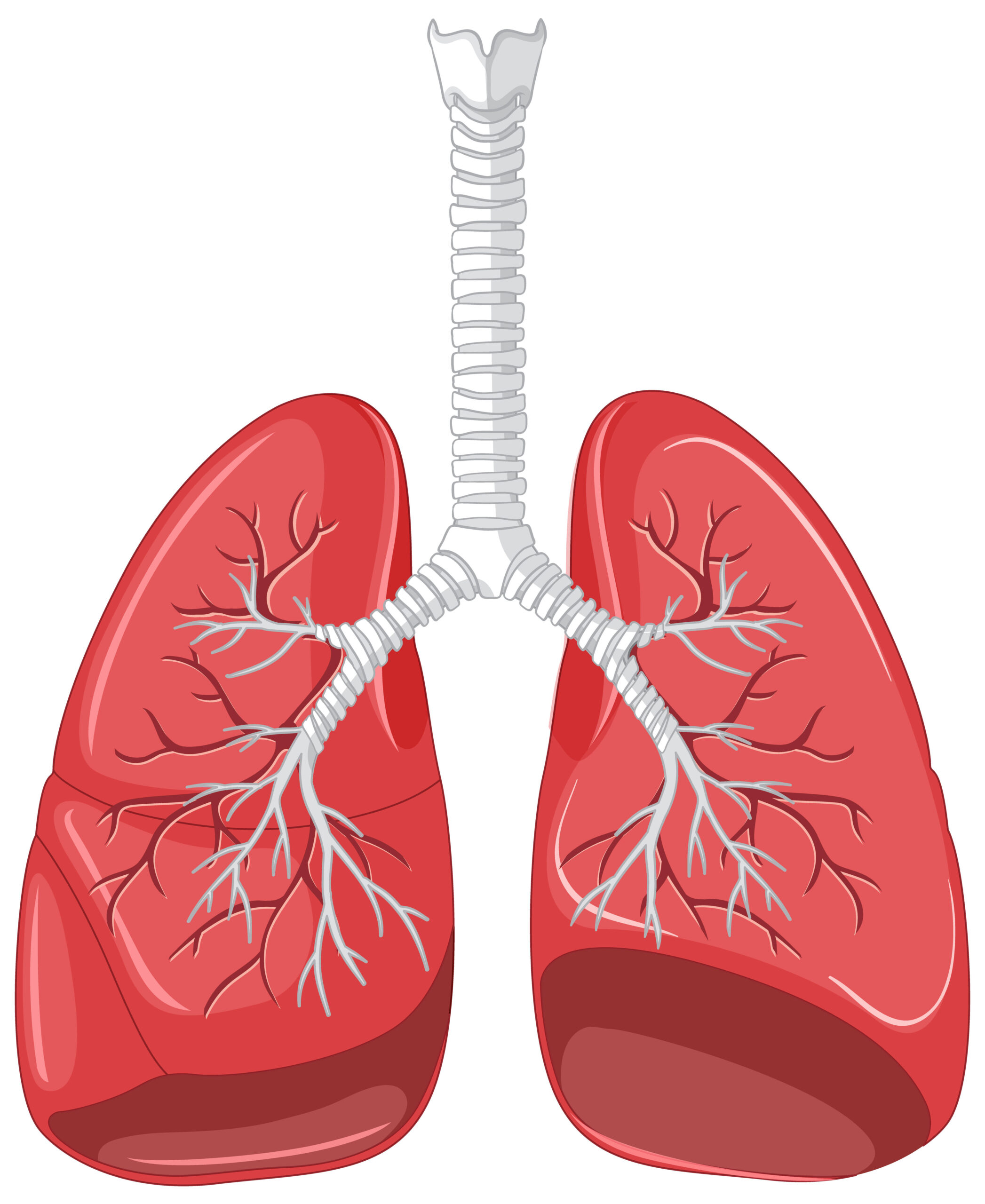 lungs-resp-dept